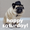 Let's hear it from the pups