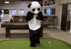Want to learn Pandas 🐼 