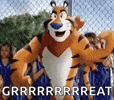   🐯 Healthy or Hype: Frosted Flakes