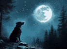 Full Moon Writing Activation: Monday, 6.29.26: All are invited!