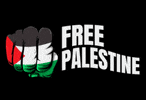 Gaza: why the Ummah feels so helpless