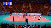 ¡Bienvenidos a Voleibol Colombia!