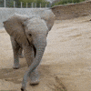 🐘 Elephant in the room: What are you NOT doing