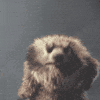 Can Posts and Comments Look and Sound more Confident?