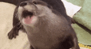 Post Your Breath Hold (Week 30: July 21th 2025 - July 27th 2025)
