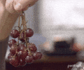 I am officially a 🍇…