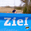 Was sind eure Ziele für die nächste Jahreshälfte?