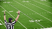 🏈 Why Do We Love Football?