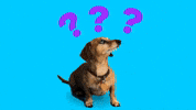 Have any questions?