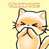 Thank you for your patience!