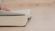 📖 Bible & Book Studies Are Back!