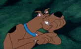 42 scoobadeeedoo