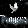 Prayer poll!! 