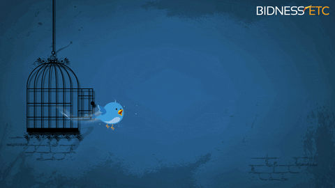GIF from GIPHY
