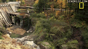 GIF from GIPHY