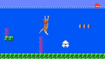 International Cat Day Cats GIF by BuzzFeed