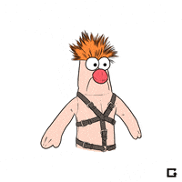 Muppets GIF by gifnews