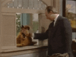 happy well done GIF by Miri Ganser