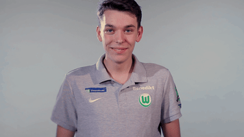 fifa 18 football GIF by VfL Wolfsburg