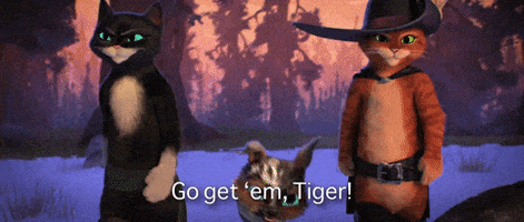 Happy Antonio Banderas GIF by Puss In Boots