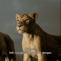 The Lion King Disney GIF by Freeform