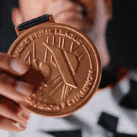 Winner League GIF by Austrian Force eSports