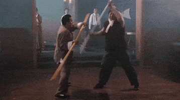 kung fu GIF by Warner Archive