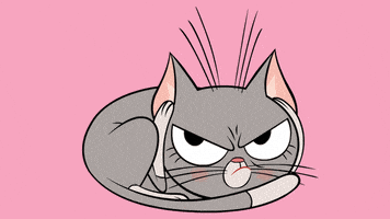 Angry Cat GIF by ZIP ZIP