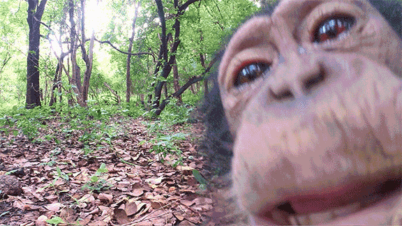 Giphy - Licking Spy In The Wild GIF by ThirteenWNET