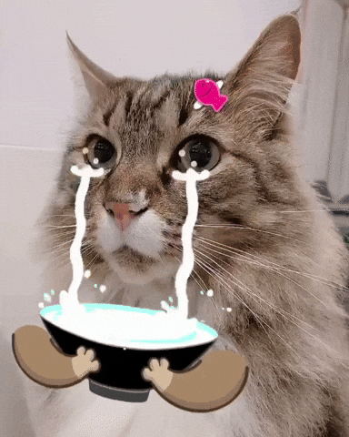Giphy - Cat Crying GIF