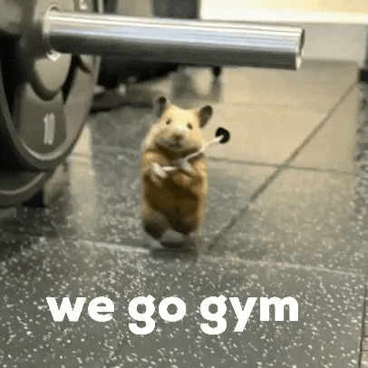 Giphy - Go Work Out GIF