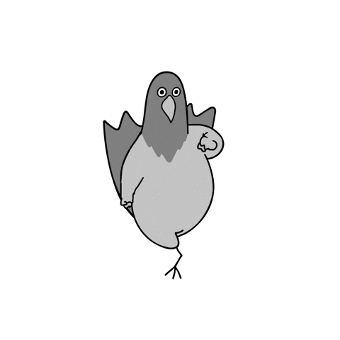 Giphy - Happy Dance GIF