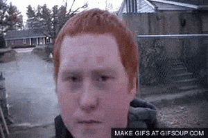 Ginger GIF Ginger GIF