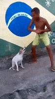 Dance Dancing GIF
