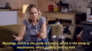 comedy central GIF by Drunk History UK