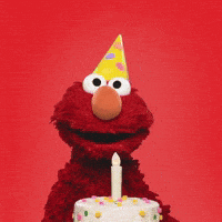 Happy Birthday GIF by Sesame Street