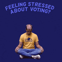 Stressed Live Action GIF by guides.vote