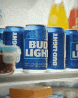 Easytoenjoy GIF by Bud Light