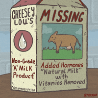 Animation Domination Fox GIF by gifnews