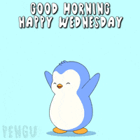 Excited Jump GIF by Pudgy Penguins