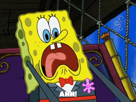 season 5 to love a patty GIF by SpongeBob SquarePants