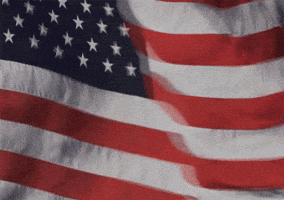 Best Country's Flag