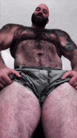 Gay Bear GIF by Database數據