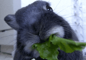 Baby Eating GIF