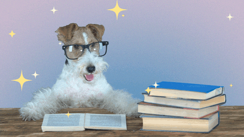 The Ultimate Guide: Fun Study Techniques