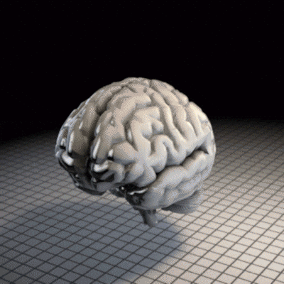 Ultimate Guide: Memory Techniques