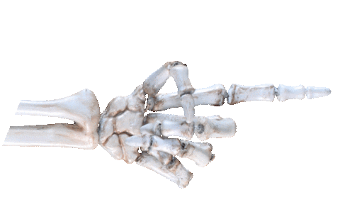 An animated image of 40
