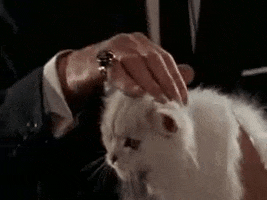 200.gif