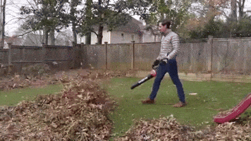 200.gif