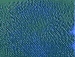 Once In A Lifetime GIF by Talking Heads